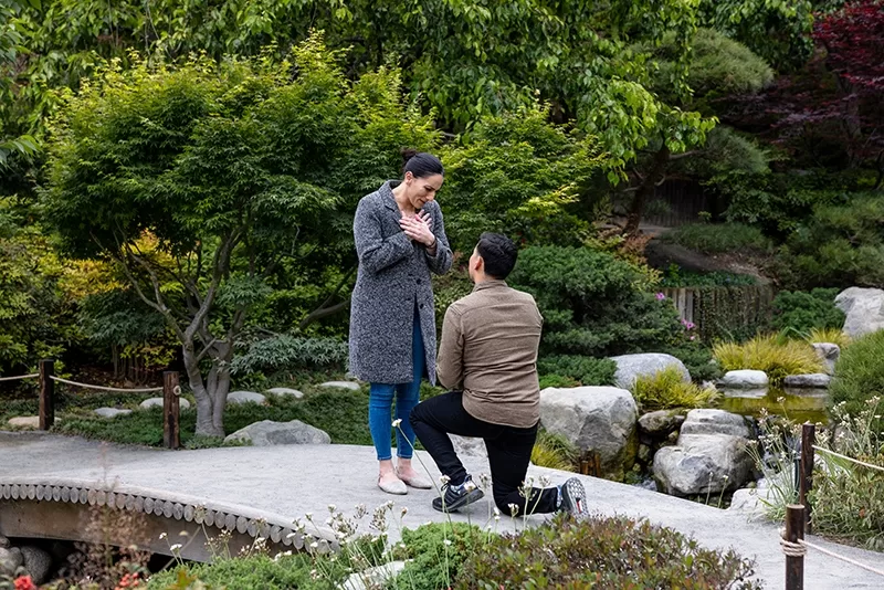 Romantic Surprise Proposal in San Diego 6 Stunning surprise proposal at Japanese Garden