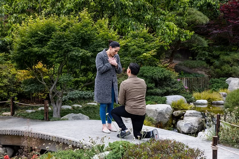 Stunning surprise proposal at Japanese Garden